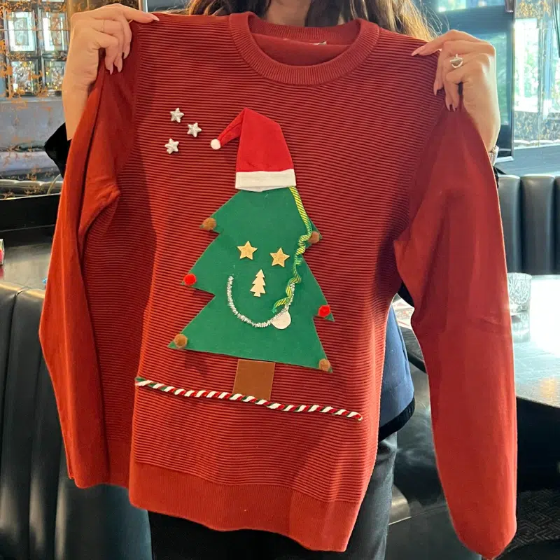 Pull de Noël